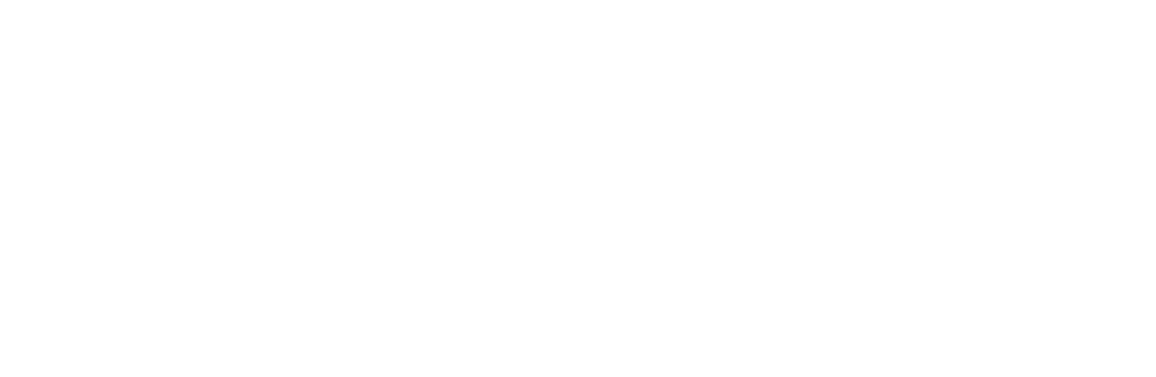 Fisify